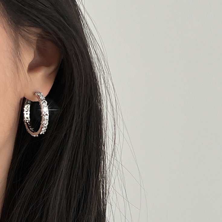Super Flash Zircon Inlaid Earrings