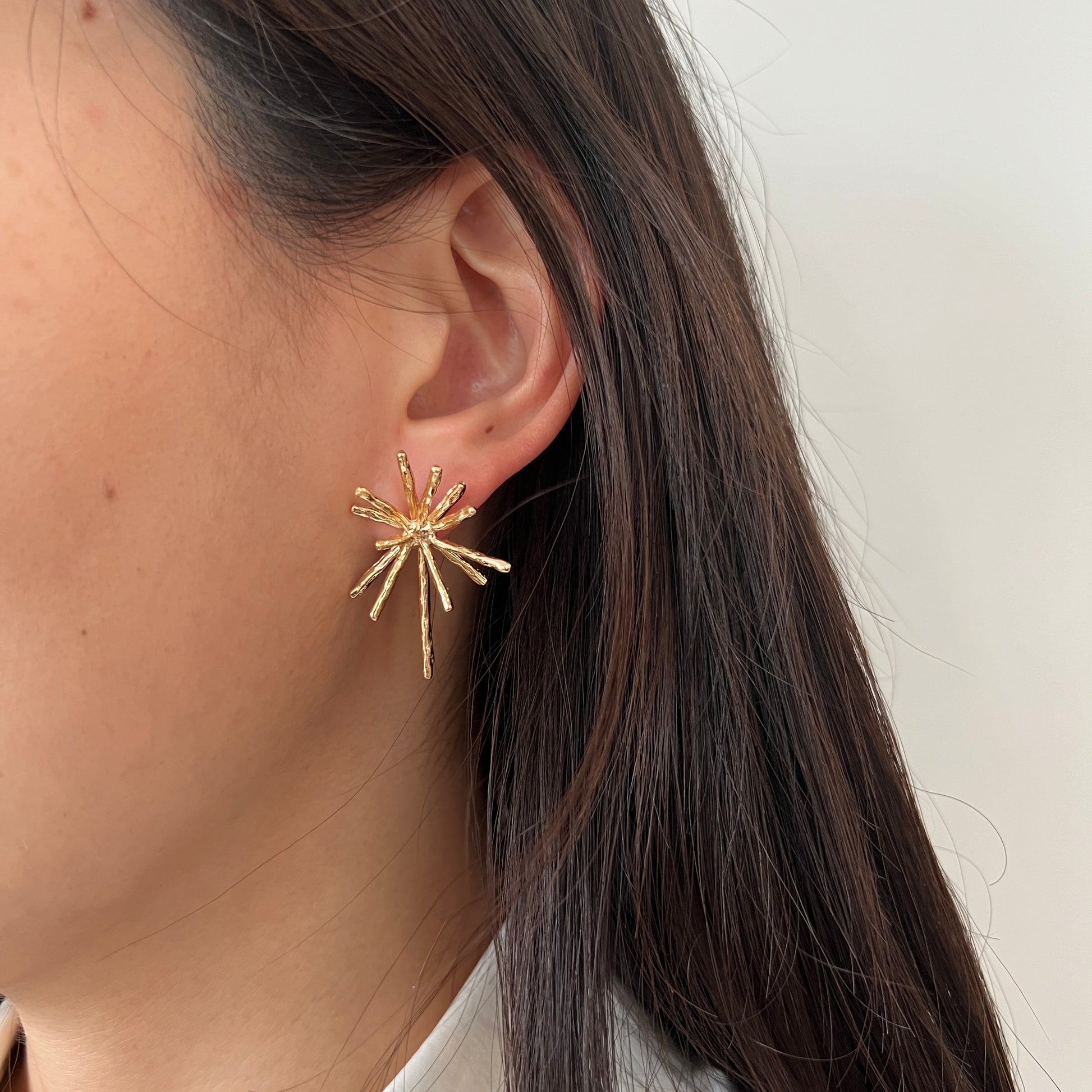 Silver Statement Earrings
